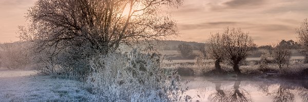 Zima, Rzeka, Drzewa, Trawa, Oszroniona