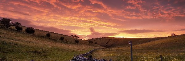 Ogrodzenie, Wzgórza, Wschód słońca, Drzewa, Anglia, Park Narodowy Peak District