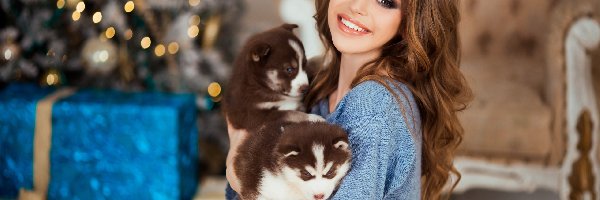  Kobieta, Dwa, Psy, Siberian husky, Szczeniaki