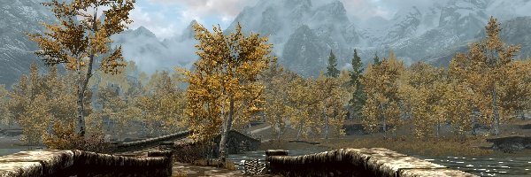 Gra, Skyrim, Komputerowa, Screen