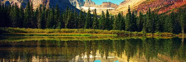 Stany Zjednoczone, Góry, Stan Wirginia, Drzewa, Jezioro Mountain Lake