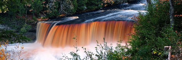 Rzeka Tahquamenon, Park stanowy Tahquamenon Falls, Stany Zjednoczone, Stan Michigan, Las, Jesień, Miejscowość Paradise, Wodospad Tahquamenon