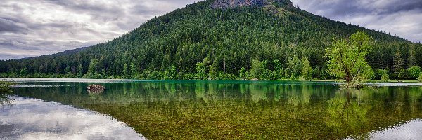 Las, Jezioro Rattlesnake Lake, Stany Zjednoczone, Stan Waszyngton, Drzewa, Chmury, Odbicie, Góra Rattlesnake Ridge