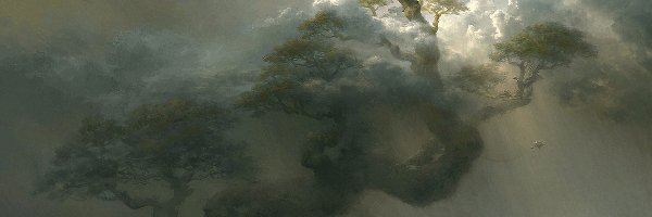 Mgła, Drzewo, Chmury