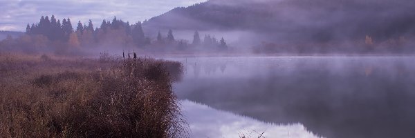 Departament Jura, Trawy, Mgła, Francja, Góry Jura, Jezioro Lac de Lamoura