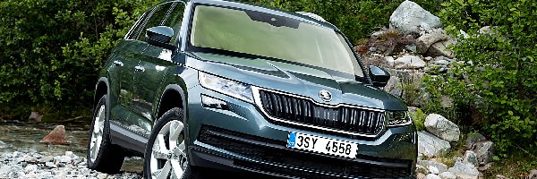 Kamienie, 2017, Skoda Kodiaq