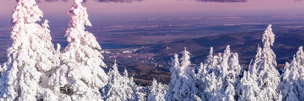 Zima, Saksonia-Anhalt, Góry, Świerki, Miasto Wernigerode, Śnieg, Drzewa, Niemcy