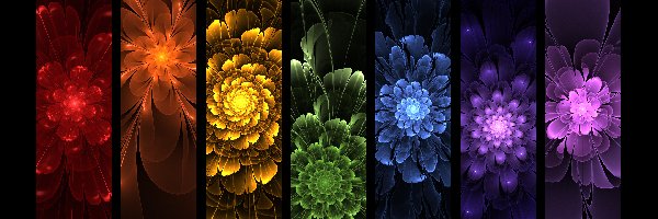 Kwiaty, Kolorowe, Fraktal