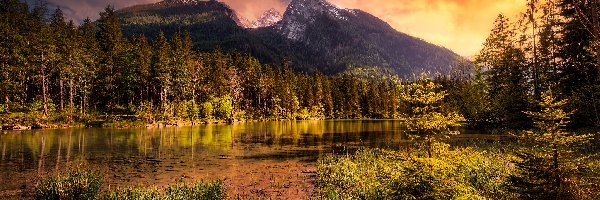 Góry, Bawaria, Niemcy, Drzewa, Powiat Berchtesgadener, Jezioro Hintersee