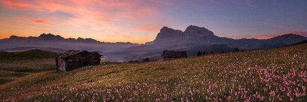 Łąka, Włochy, Zachód słońca, Chaty, Góry Dolomity, Kwiaty, Drewniane, Płaskowyż Seiser Alm