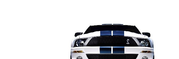 Ford Shelby GT500