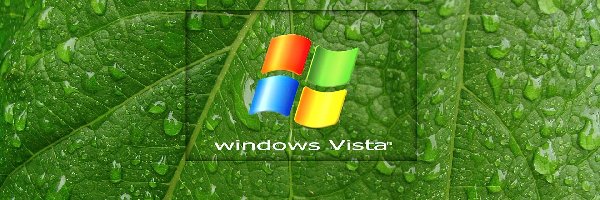 Windows, Liść, Vista, Wody, Krople