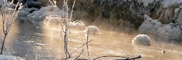 Zima, Oblodzone, Śnieg, Mróz, Gałązki