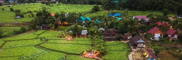 Pola, Domy, Miejscowość, Prowincja Mae Hong Son, Tajlandia, Drzewa, Lasy, Mae La Noi, Góry