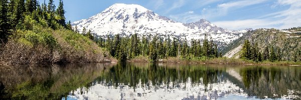 Odbicie, Góry, Stratowulkan Mount Rainier, Stan Waszyngton, Stany Zjednoczone, Jezioro Bench Lake, Drzewa