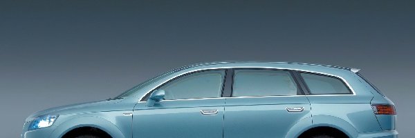 Lewy Profil, Audi Q7