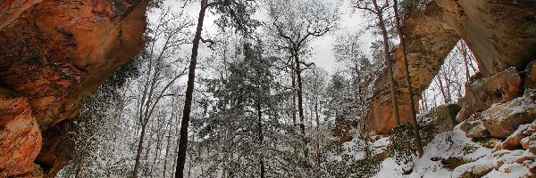 Drzewa, Kanion Red River Gorge, Łuk, Stan Kentucky, Stany Zjednoczone, Zima, Skalny