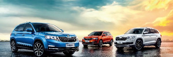 Skoda Kamiq, Skoda Karoq, Skoda Kodiaq