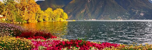 Jesień, Jezioro, Góry, Kwiaty, Kolorowe