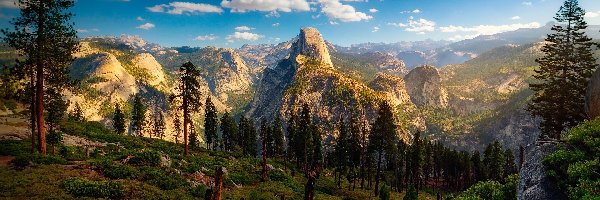 Park Narodowy Yosemite, Stany Zjednoczone, Stan Kalifornia, Drzewo, Góry