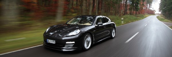 2010, Las, Droga, Porsche Panamera TechArt Concept