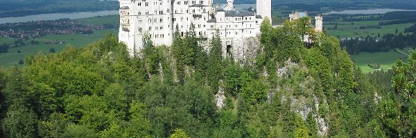 Niemcy, Zamek Neuschwanstein, Bawaria, Drzewa, Lasy