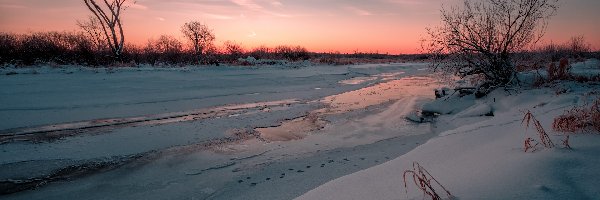 Rosja, Krzewy, Zima, Drzewa, Rzeka Usolka, Kraj Permski, Wschód słońca