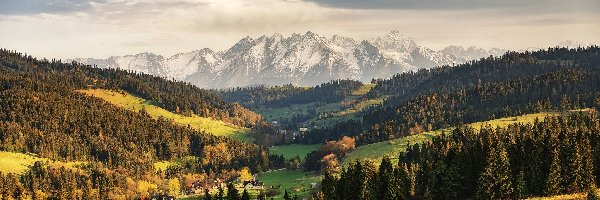 Niebo, Góry Tatry, Wzgórza, Polski Spisz, Polska, Pola, Las