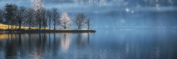 Jezioro Bohinj, Drzewa, Mgła, Słowenia, Triglavski Park Narodowy