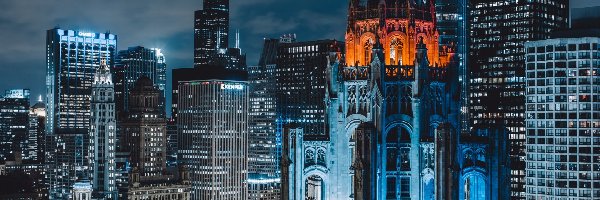 Stany Zjednoczone, Zabytkowy budynek Tribune Tower, Chicago, Chicago, Wieżowce