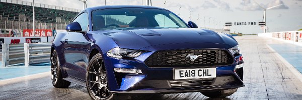 Ford Mustang, Granatowy