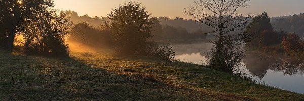Rzeka, Blask, Słońca, Drzewa, Mgła, Poranek