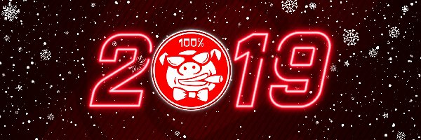 2019, Świni, Rok, Nowy Rok