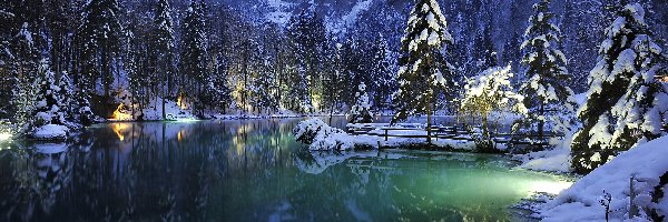 Jezioro Blausee, Lasy, Drzewa, Szwajcaria, Góry, Zima