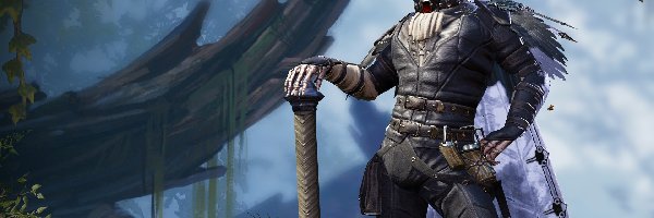 Postać, Nieumarły, Fane, Divinity Original Sin II
