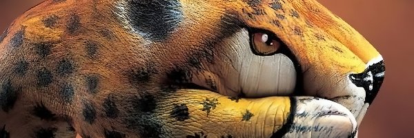 Bodypainting, Dłoń, Lampart