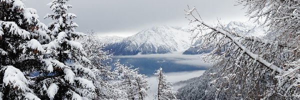 Zima, Las, Góry, Jezioro, Drzewa