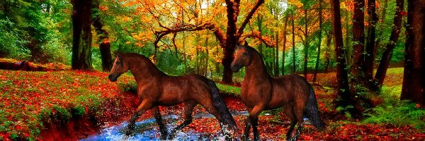 Konie, Las, Rzeka, Jesień, Liście