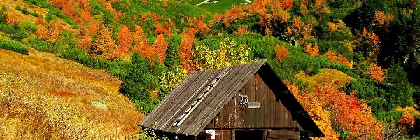 Góry, Chata, Drewniana, Jesień