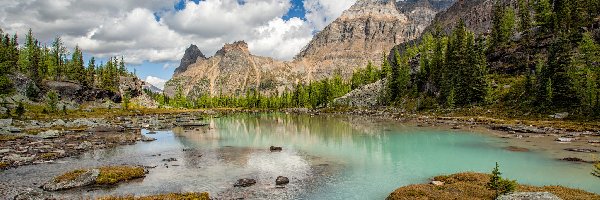 Drzewa, Park Narodowy Yoho, Jezioro OHara, Góra Odaray Mountain, Góry, Kanada, Prowincja Kolumbia Brytyjska, Płaskowyż Opabin, Chmury