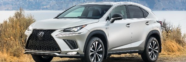 Góry, Lexus NX 300h