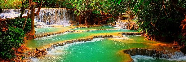 Wodospad, Drzewa, Kuang Si, Laos, Las