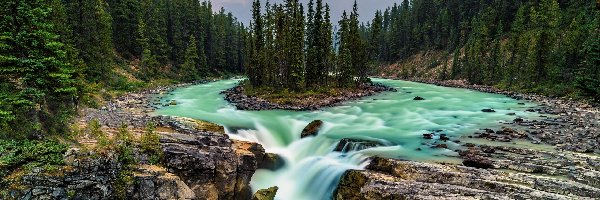 Drzewa, Rzeka Sunwapta, Kanada, Alberta, Las, Góry, Park Narodowy Jasper, Wodospad Sunwapta