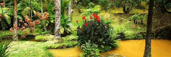 Portugalia, Terra Nostra, Ogród Botaniczny