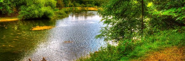 Park, Anglia, Nostell, Jezioro