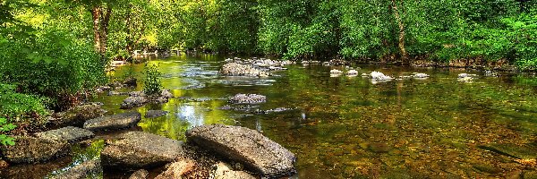 Drzewa, Park Narodowy Exmoor, Rzeka Barle, Hrabstwo Somerset, Anglia, Kamienie, Most Tarr Steps