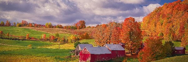 Wzgórza, Farma Jenne Farm, Wieś Reading, Drewniane, Domy, Chmury, Jesień, Stodoły, Czerwone, Stany Zjednoczone, Drzewa, Stan Vermont