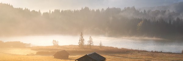 Drzewa, Drewniane, Domki, Rzeka, Mgła, Góry