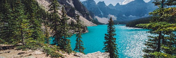 Kanada, Góry, Park Narodowy Banff, Jezioro Moraine Lake, Las