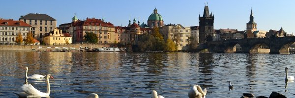 Łabędzie, Miasto, Budynki, Rzeka